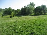 IMG_4095.jpg image by Smallplot